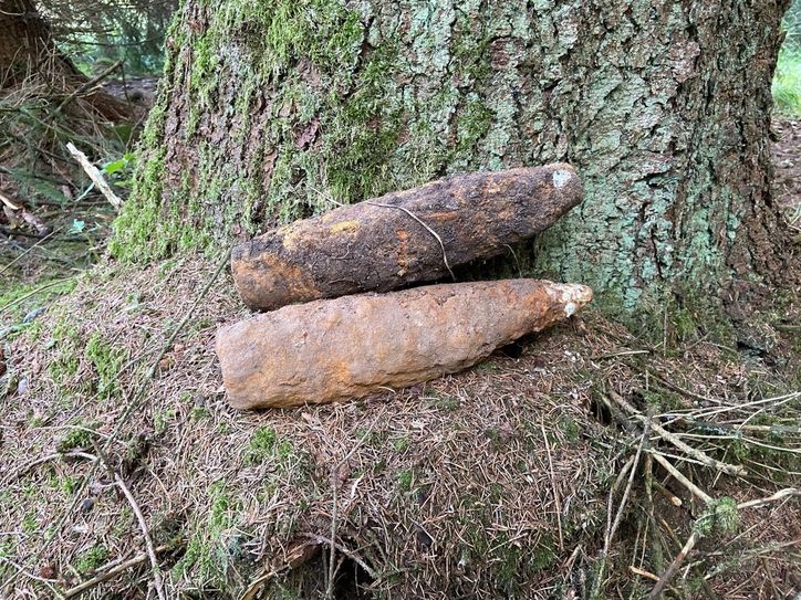Diese Mörsergranaten entdeckte ein Spaziergänger  im Wald.