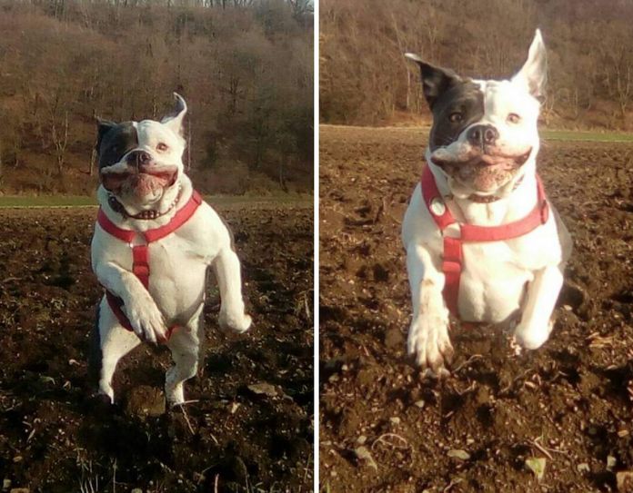 Ronja die Grinsebacke