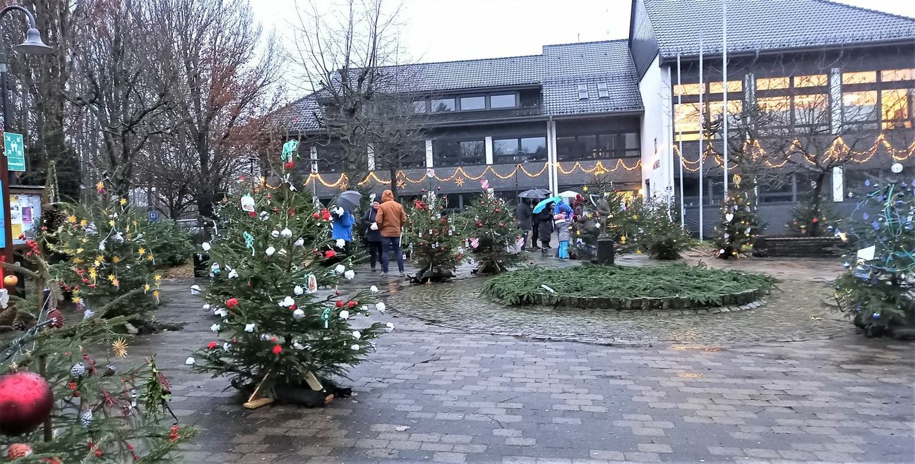 Ein Wald voller Wunschbäume steht auf dem Roetgener Rathausplatz.