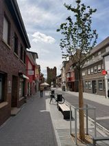 Im Rahmen eines einjährigen Verkehrsversuchs wird die neu gestaltete Münsterstraße zwischen Brauersgasse und Kinat zur Fußgängerzone.