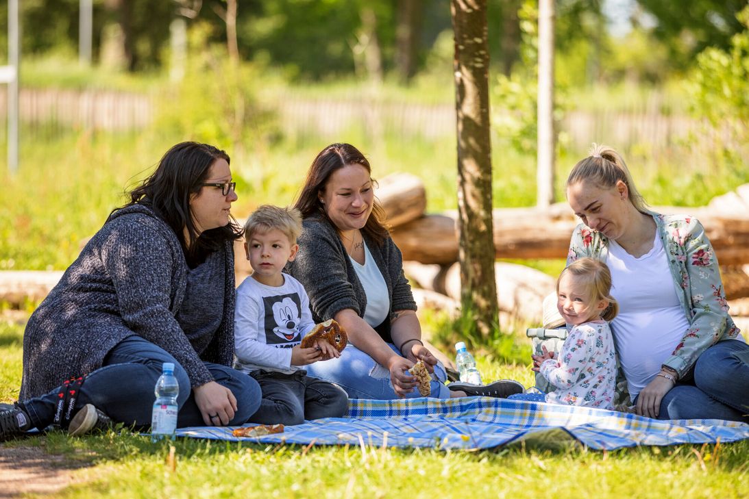 Waldexpedition lädt Familien zum Entdecken des Meulenwalds ein.