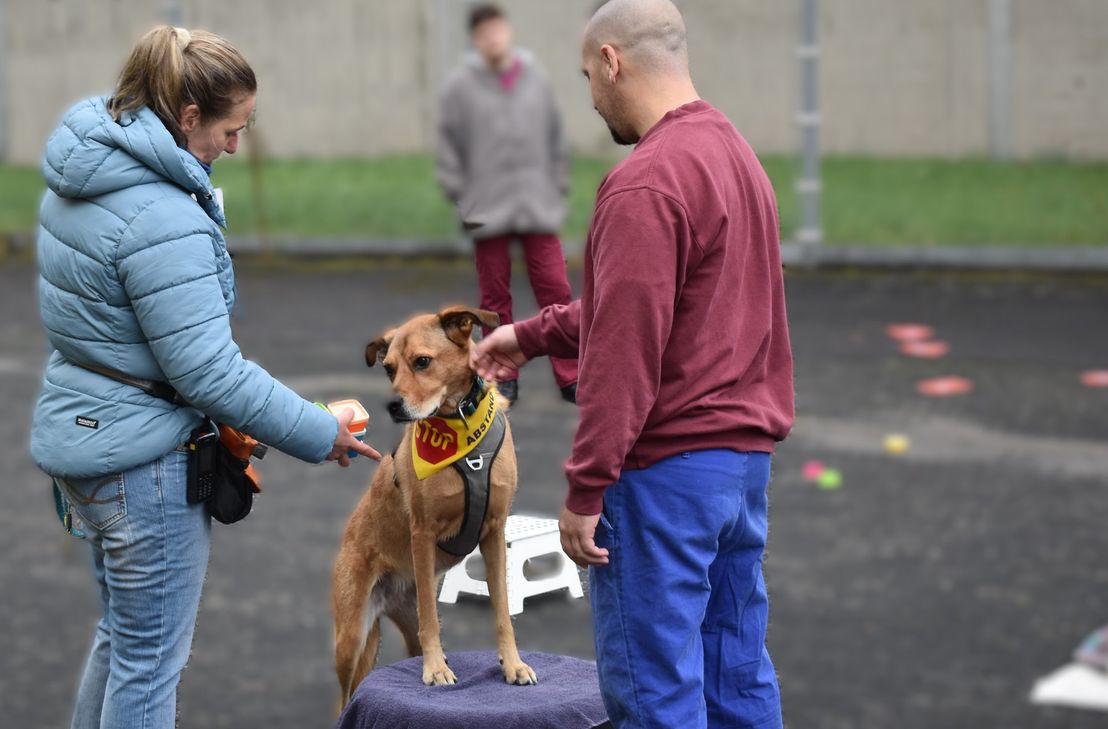 Die Sozialhündin Fay interagiert mit einem Strafgefangenen. In der Resozialisierung spielen Tiere eine wichtige Rolle, da sie helfen, Verantwortungsbewusstsein und Empathie zu fördern. Der Umgang unterstützt die persönliche Entwicklung und erleichtert die Rückkehr in die Gesellschaft.