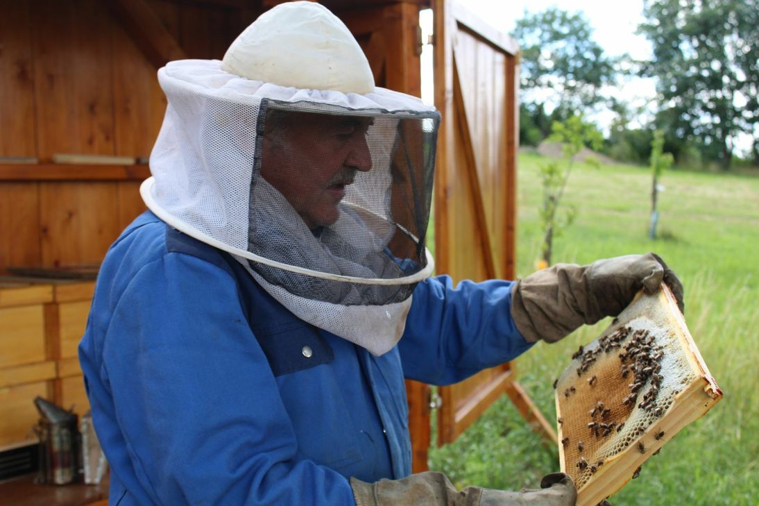Walter Rössel hat die Bienen-AG an der Wendelinus-Grundschule Lieg initiiert.