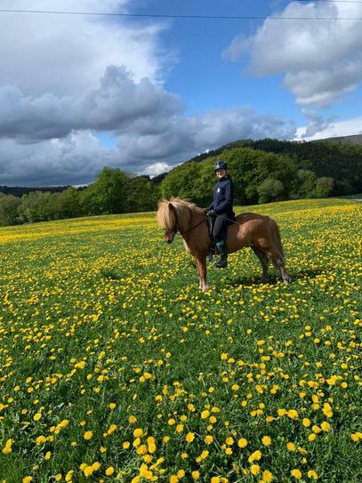 Wunderschöne Ausritte durch die Eifellandschaft kann man zu Pferd unternehmen. Neue Routen dafür gibt es jetzt im Hürtgenwald. Foto: Bosselbacher Hof