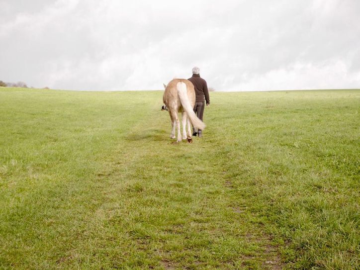 Wunderschöne Ausritte durch die Eifellandschaft kann man zu Pferd unternehmen. Neue Routen dafür gibt es jetzt im Hürtgenwald. Foto: Bosselbacher Hof
