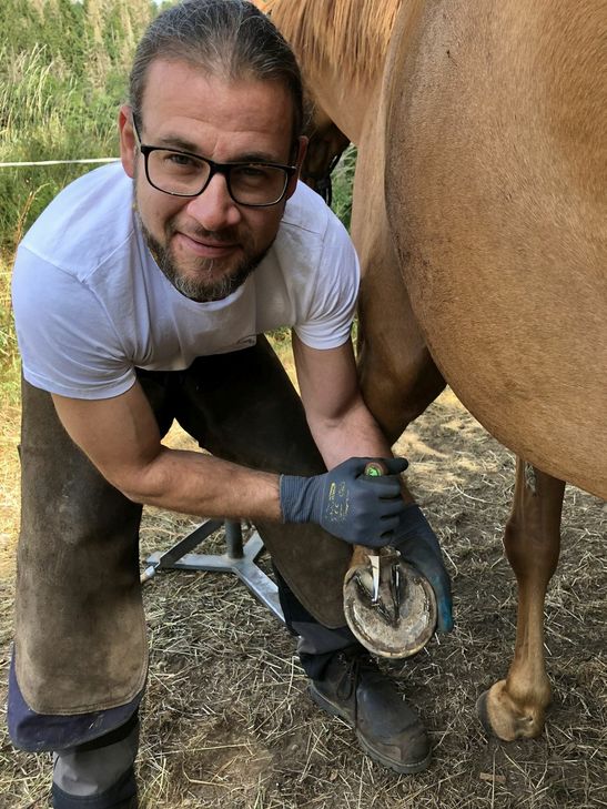 Collins zeigt den Huf seiner Araberstute, die - natürlich - kein Eisen trägt.