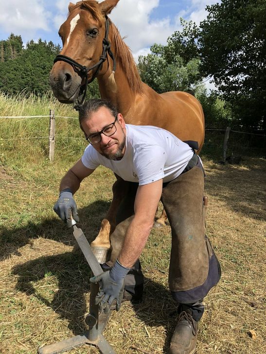 Pediküre beim Pferd ...