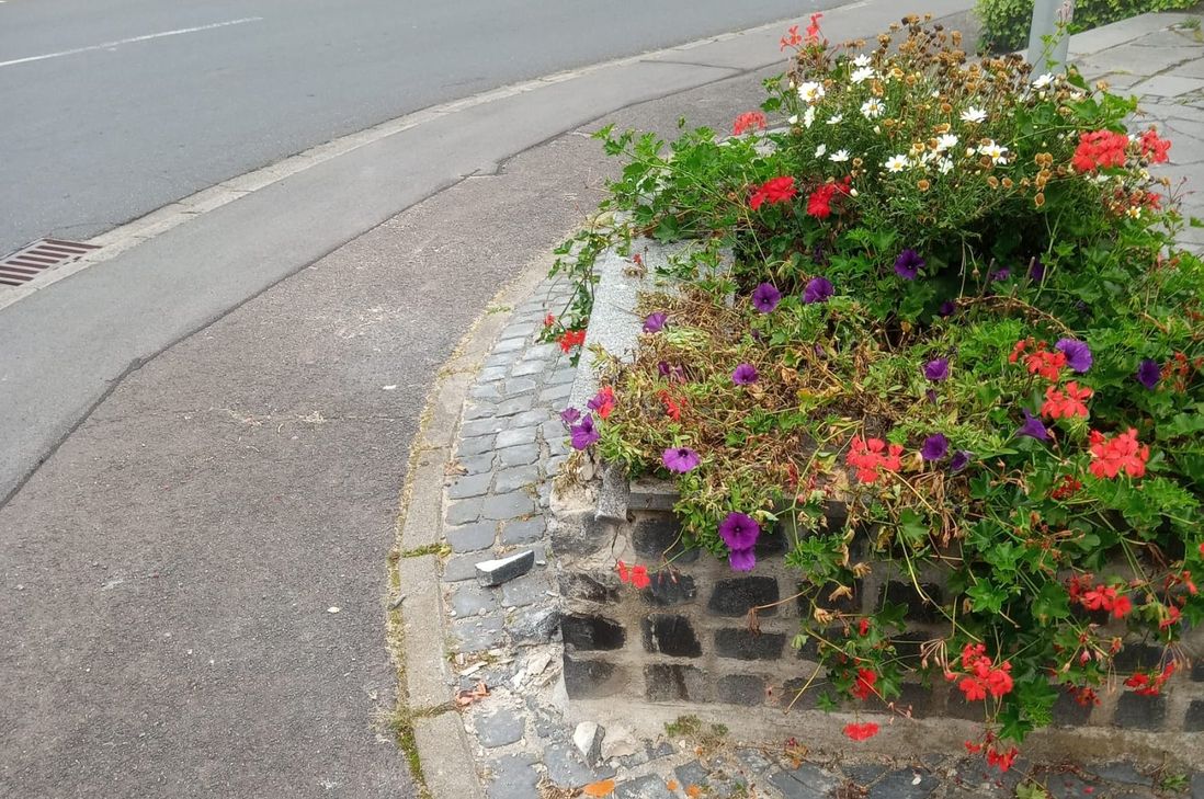Die Polizei sucht Zeugen, die Auskunft zur Beschädigung dieses Blumenbeetes machen können.