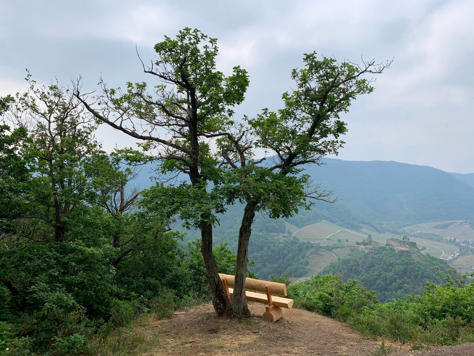 Bank auf dem Schwedenkopf