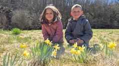 Impressionen vom Narzissenfest in Schillingen. Oben links:  Narzissenkönigin Emilie I. Foto: Florian Blaes