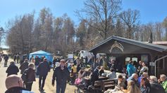 Impressionen vom Narzissenfest in Schillingen. Oben links:  Narzissenkönigin Emilie I. Foto: Florian Blaes