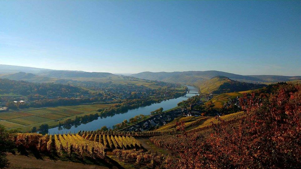 Foto: marco Rössler