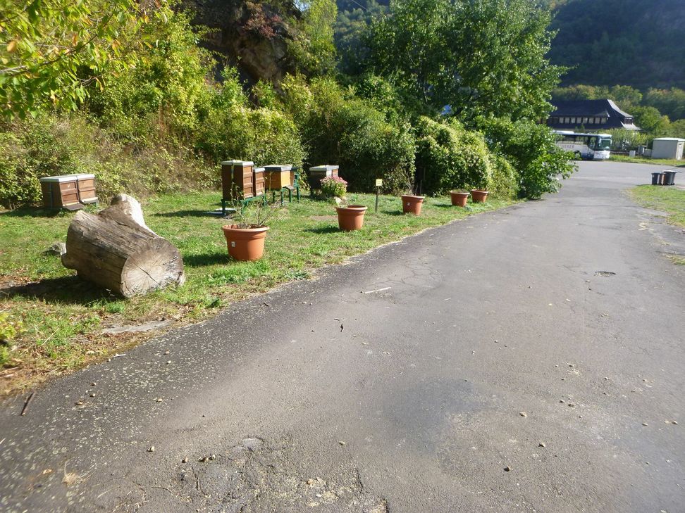 Das Bienenprojekt von Bernd Keller.