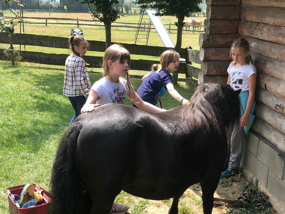 Der Ausflug auf den Rodehof gehörte zu den Highlights der Ferienfreizeit der Stadt Monschau, die mit 70 Kindern wieder großen Anklang fand. Fotos: T. Förster