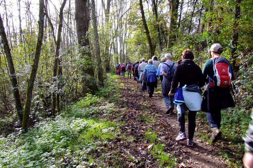 Wandern im Naturpark.
