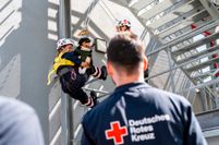 Auch Roxy, der Appenzeller Sennenhund von Nadine Lepsien, lässt die Übung entspannt über sich ergehen.