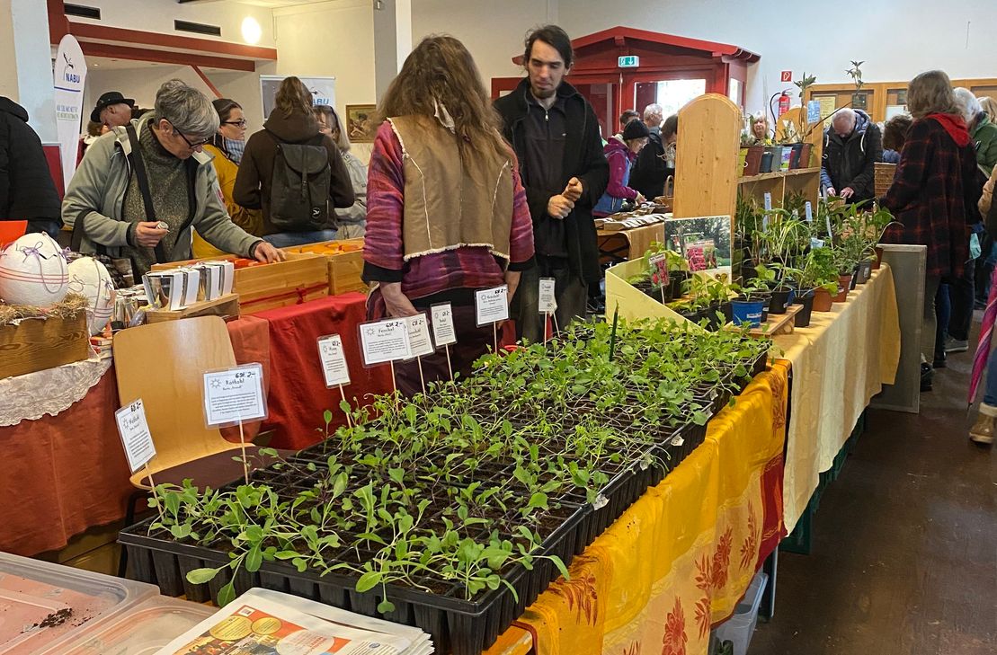 In Nationalpark-Tor und Vereinshalle in Höfen findet das sechste Saatgut-Festival statt.