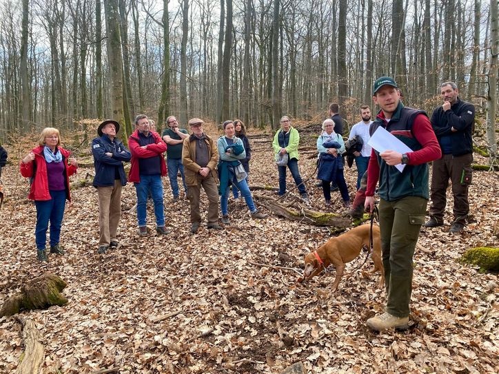 Interessiert verfolgen die Teilnehmer der Wanderung die Ausführungen von Revierförster Julian Thiebes.-