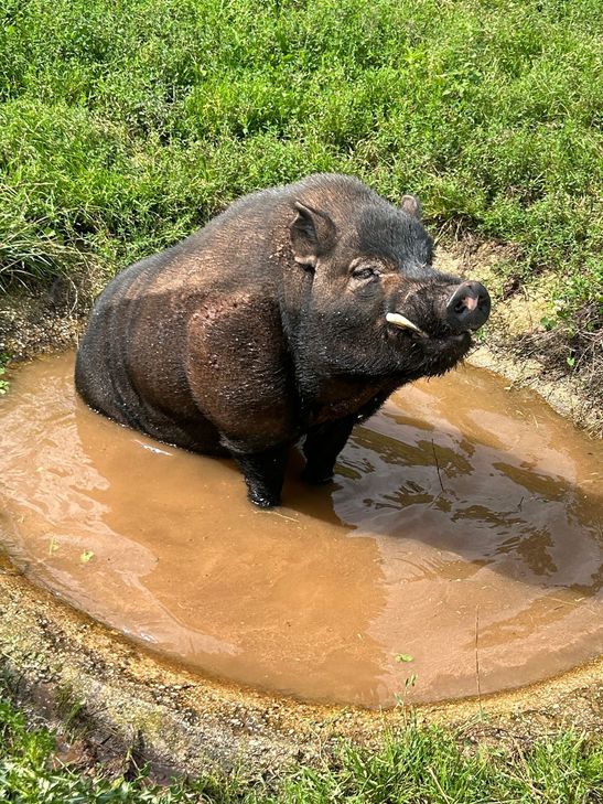 Eberhard freut sich auf Geburtstagsbesuch und Leckereien.