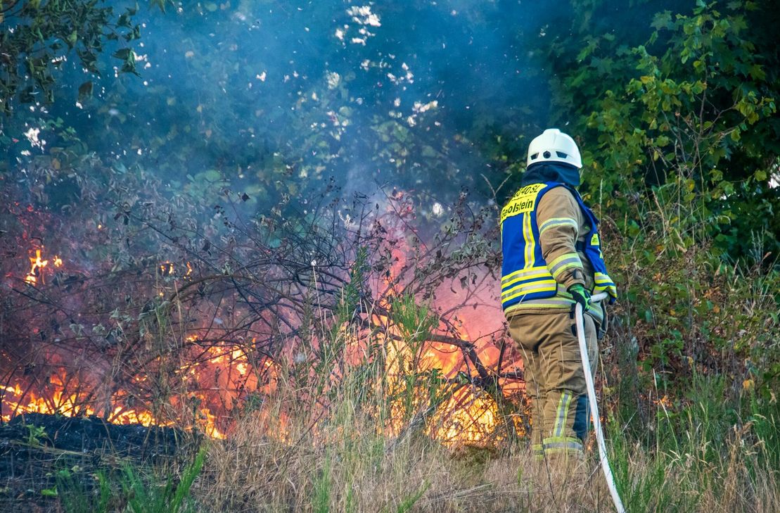 Die Feuerwehr verhinderte, dass sich der Flächenbrand ausbreitete.