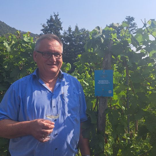 Werner Schaub vor „seinem“ Weinstock im Kreise seiner Kollegen und Familie Zenzen, Betreiber des Weinguts Kloster Ebernach, die die nachbarschaftliche Patenschaft ermöglich hat.