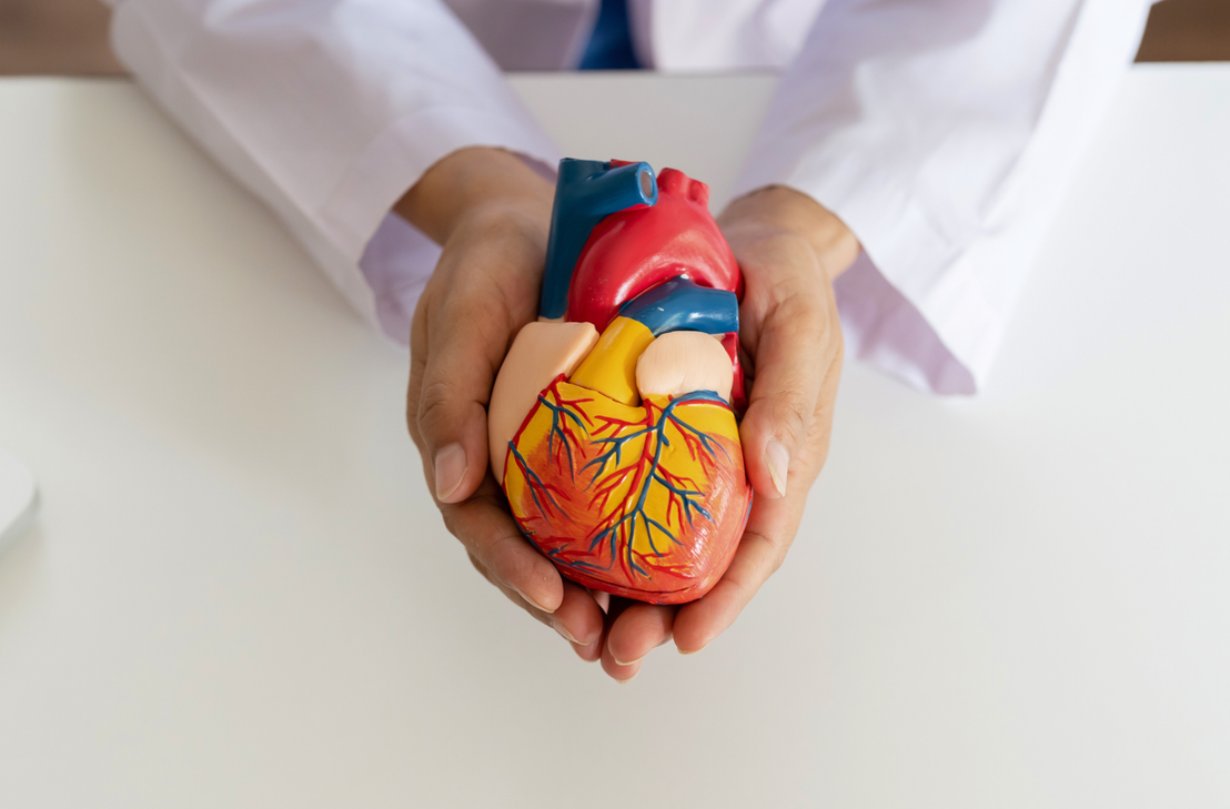 Die bundesweite Kampagne "Go Red", Tag der Frauenhherzgesundheit, findet am 2. Februar statt