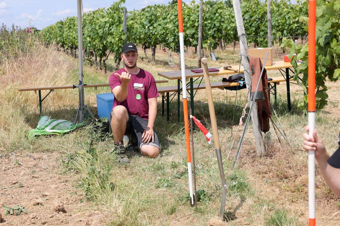 Der Jungwinzer aus Briedel stellte sein Fachwissen unter Beweis und punktete beim Berufswettbewerb.