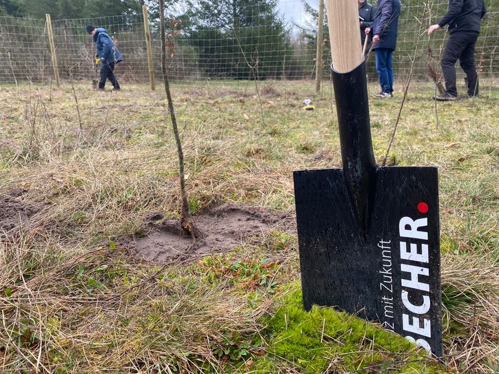 Die "BECHER GmbH & Co. KG" setzt sich auch im Alltag für den Waldbestand in der Region ein.