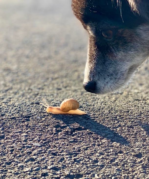 David trifft auf Goliath