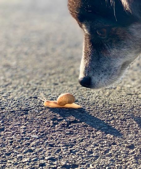 David trifft auf Goliath
