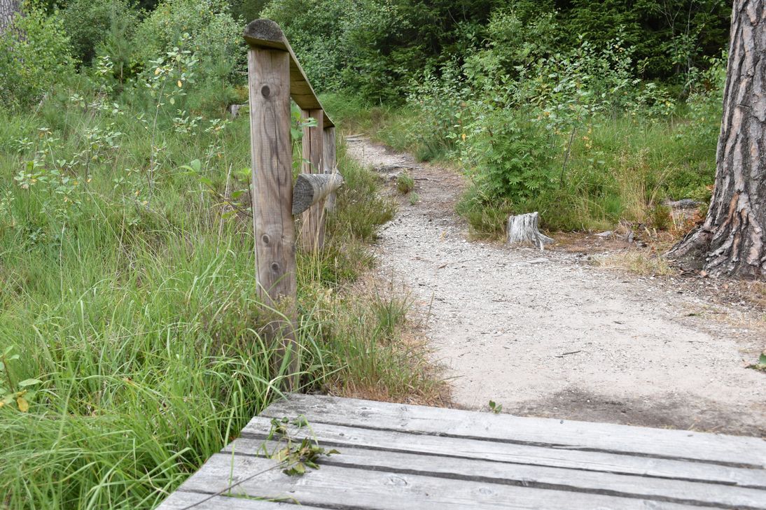 ... und am Ende um rund 60 Meter verlängert, um eine barrierefreie Anbindung an einen Forstweg zu schaffen.