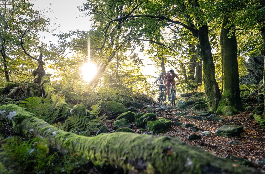 Der Stoneman Arduenna, eine Strecke von insgesamt 176 Kilometern und 3.900 Höhenmetern, lädt ein, Ostbelgien auf Pfaden und Trails zu entdecken.