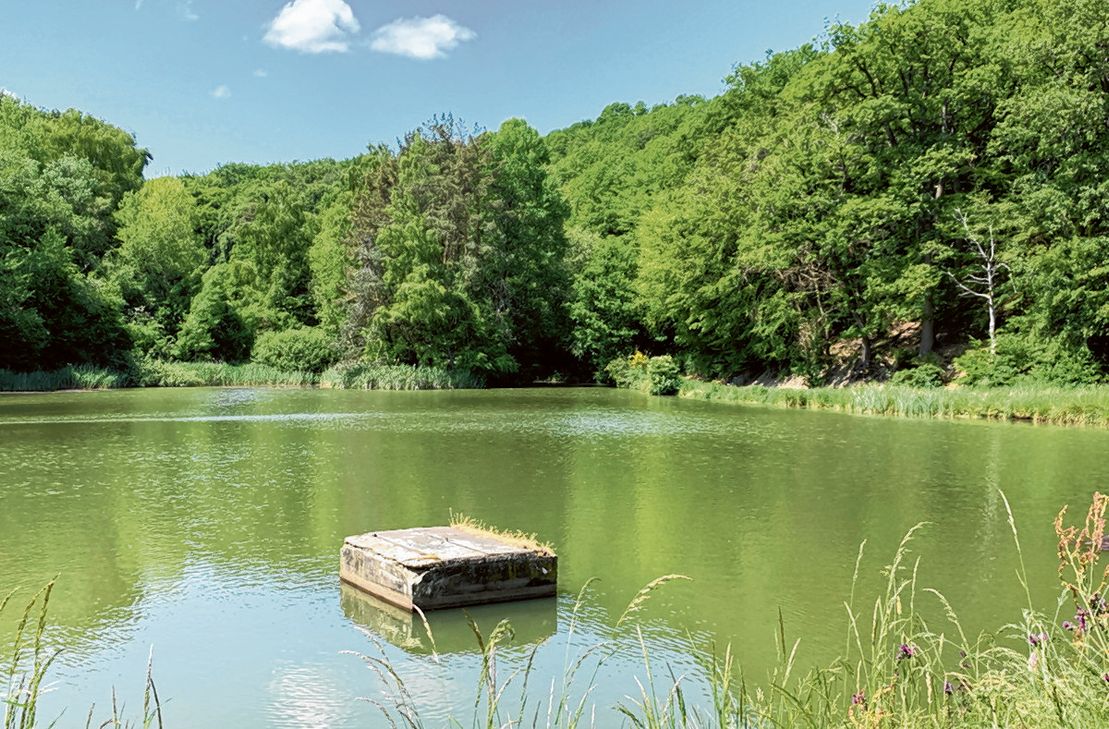 Idylle am Düngenheimer See