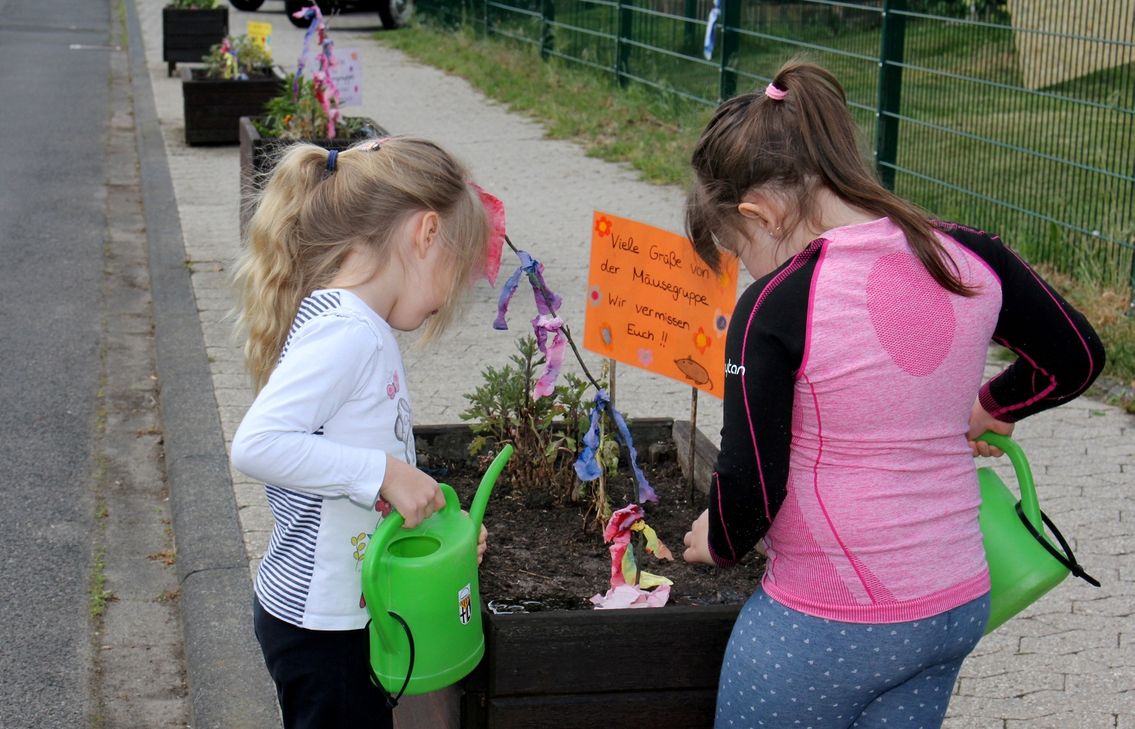 Hege und Pflege ist in den Blumenkästen vor der DRK-Kita „Sonnenblume“ in Weilerswist momentan das A und O. Foto: Thomas Schmitz/pp/Agentur ProfiPress