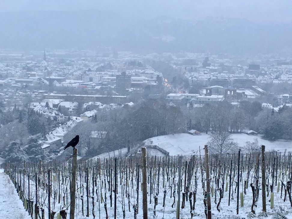 Winterlicher Blick vom Petrisberg über Trier. Foto: Neumann