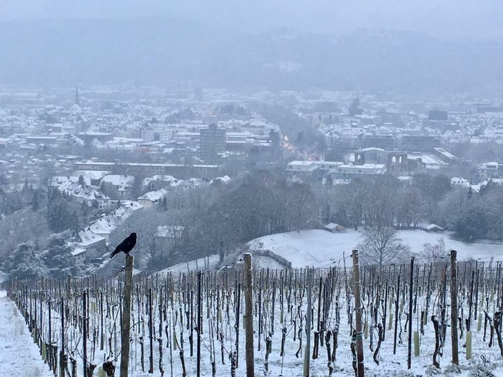 Winterlicher Blick vom Petrisberg über Trier. Foto: Neumann