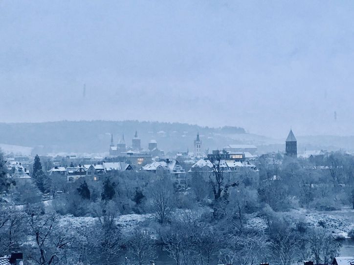 Panorama-Aussicht von Pallien auf Trier. Foto: Neumann