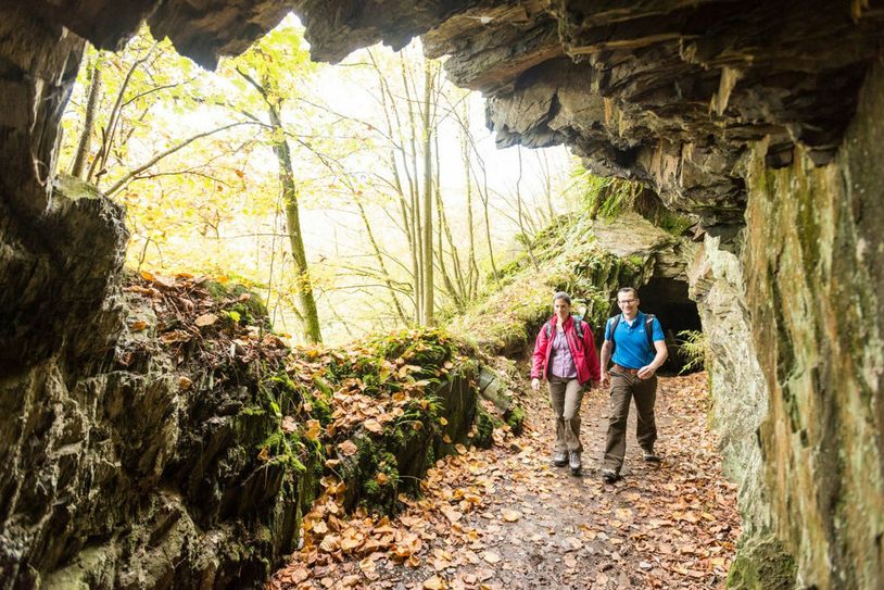 Die Wanderwoche Südeifel lädt ein zu fünf abwechslungsreichen, geführten  Wanderungen. Foto: D. Ketz