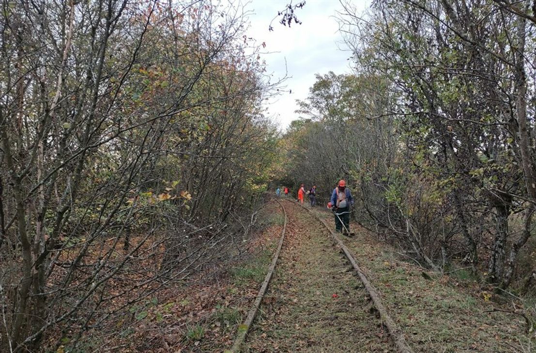 Ehrenamtliche schneiden zurzeit das sogenannte »Industriestammgleis« zum Gewerbegebiet bei Eul-gem frei.