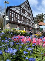 Freilichtmuseum Bad Sobernheim