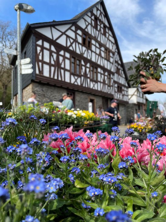 Freilichtmuseum Bad Sobernheim