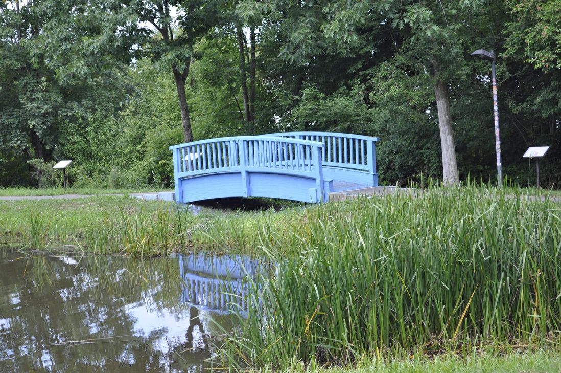 Unbekannte haben eine Fußgängerbrücke sowie eine angrenzende Parkbank vollständig mit blauer Farbe gestrichen. Inzwischen konnten mögliche Tatverdächtige ermittelt werden.