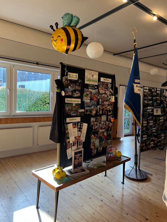 Alle Vereine hatten Stellwänder für ein "Speed-Dating" vorbereitet, wo sie den Verein, seine Geschichte und Aktivitäten präsentierten.