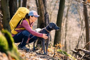 Der erster »DogWalk Eifel« führt über die EifelSpur »Sonne, Mond & Sterne«.