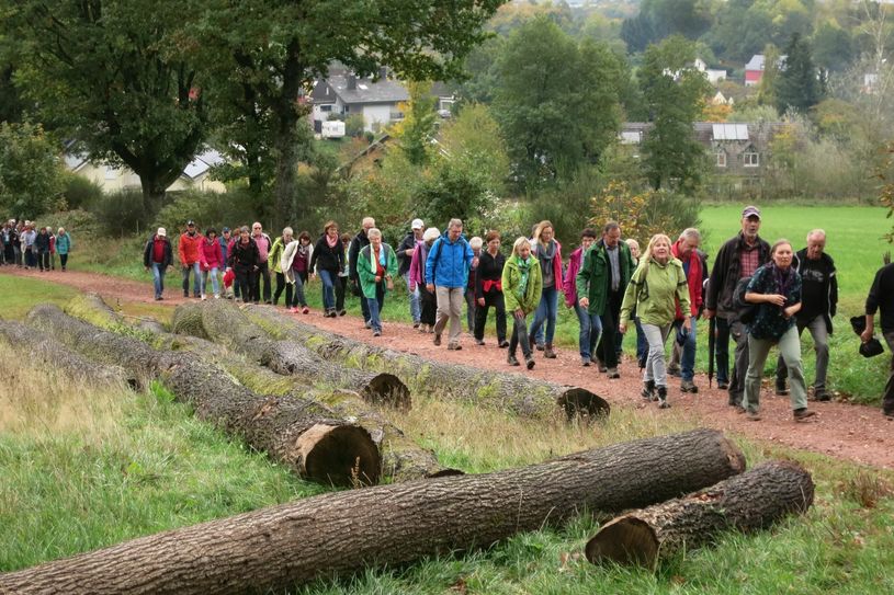 Die Wanderung durch herbstlichen Meulenwald lockt jedes Jahr viele Gäste an. Foto: Privat
