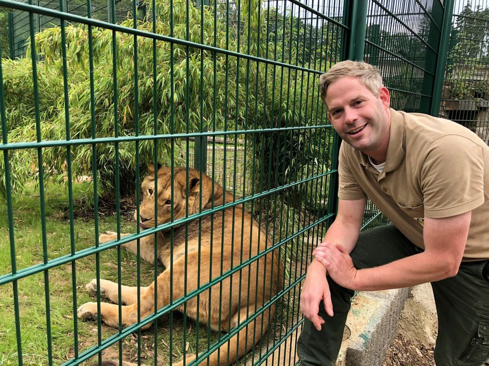 Ken Reise vor dem vergrößerten Löwengehege. Mehr dazu im Video! Foto: Sarah Stieren