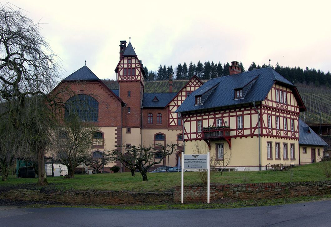Die möglichen Pläne des Landes Rheinland-Pfalz, die Weinbau-domäne in Avelsbach zu verkaufen, stoßen auf Kritik. Foto: Archiv