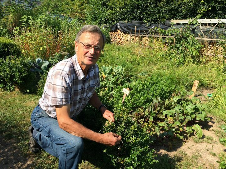 Für Hans-Jürgen Kesten gilt: Ein Garten ohne »Unkräuter« macht nachdenklich. Er zeigt, wie man auch ohne chemische Keule auskommt. Foto: A. Koch