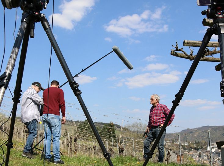 Filmaufnahme Weinberg. Foto: TZV
