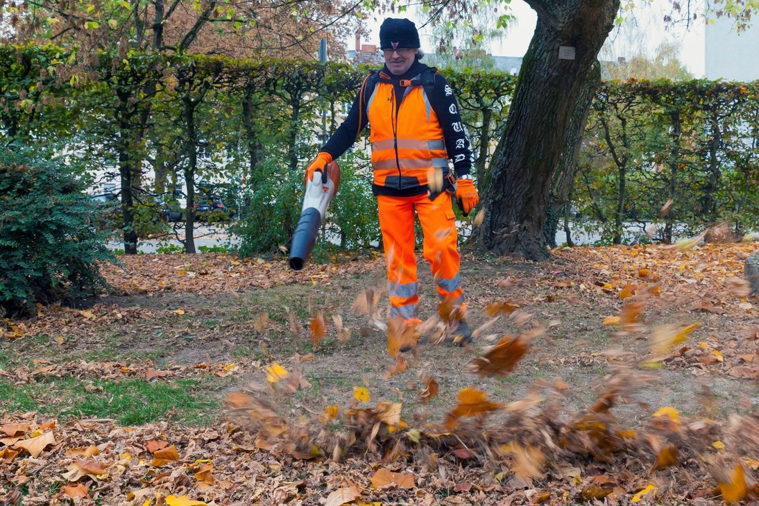 Anton Schulz von der Stadtreinigung säubert eine Wiese mit einem neuen Akku-Laubbläser. Foto: Presseamt Trier